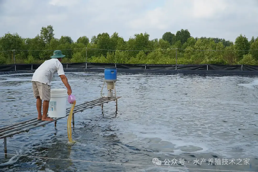 從精選到投喂，實現(xiàn)成本直降 20%